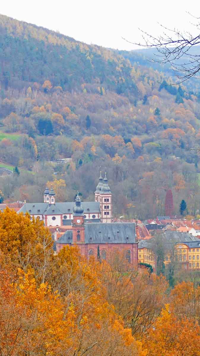 Blick auf Amorbach im Herbst