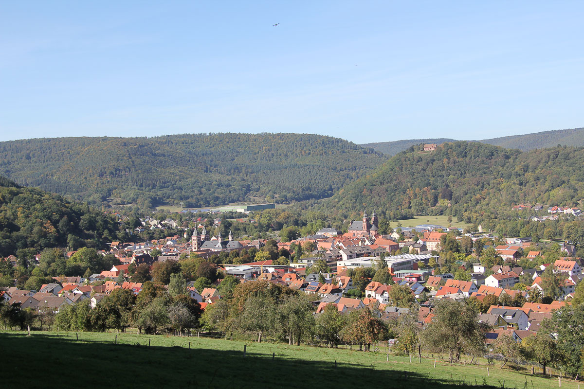 Blick auf Amorbach vom Odenwald aus